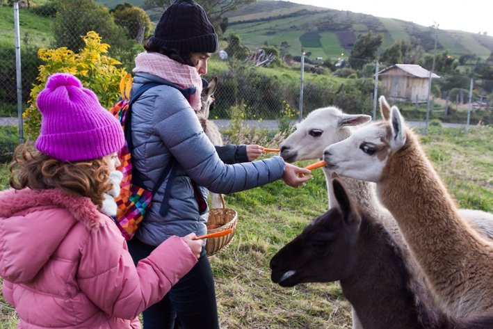 Hacienda Santa Ana主图