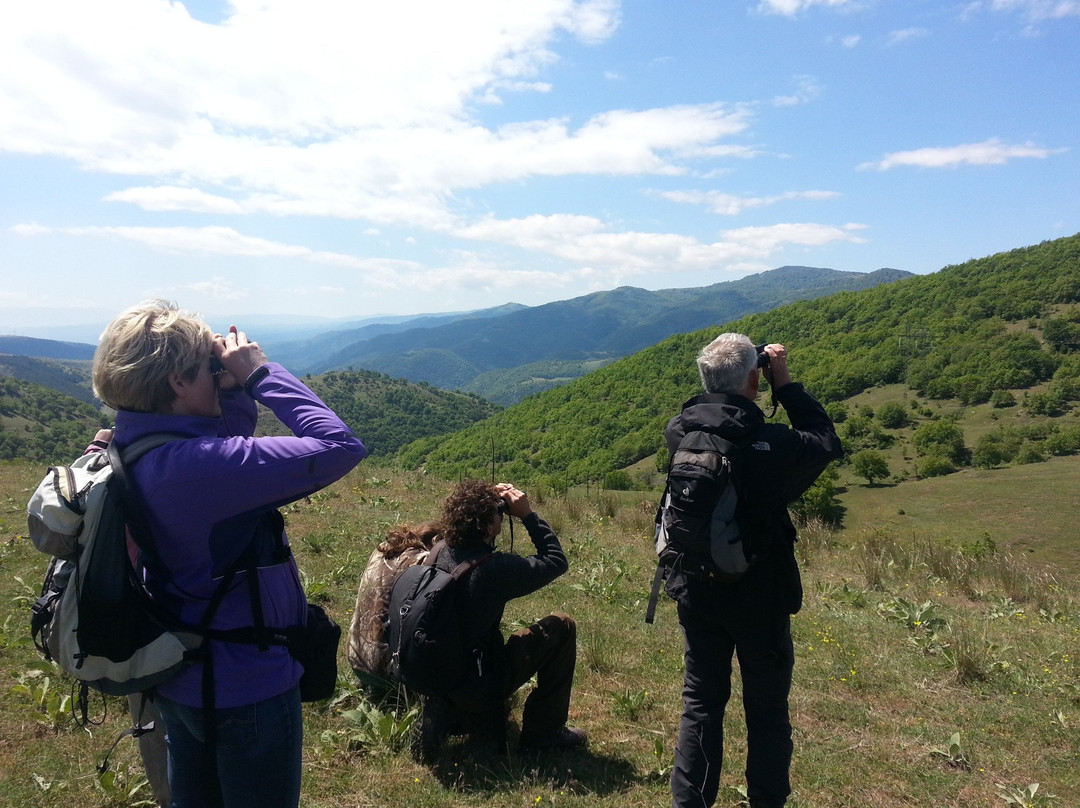 Nature & Adventure Tours景点图片