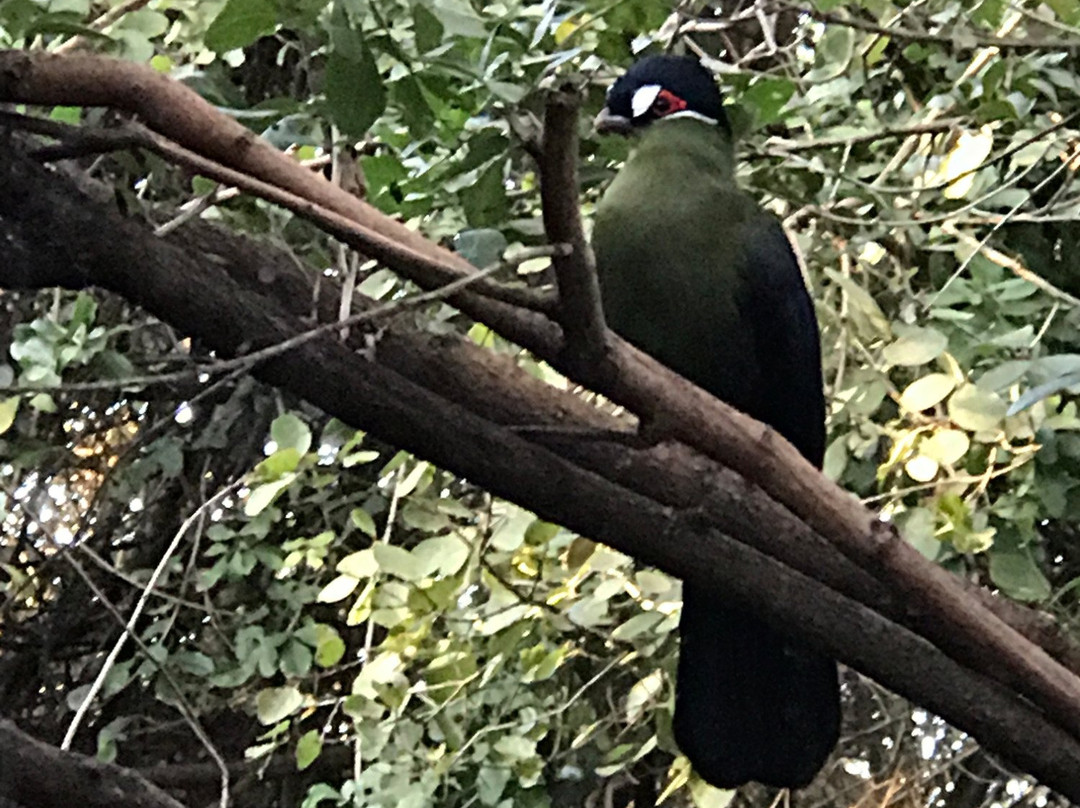 Macushla House主图