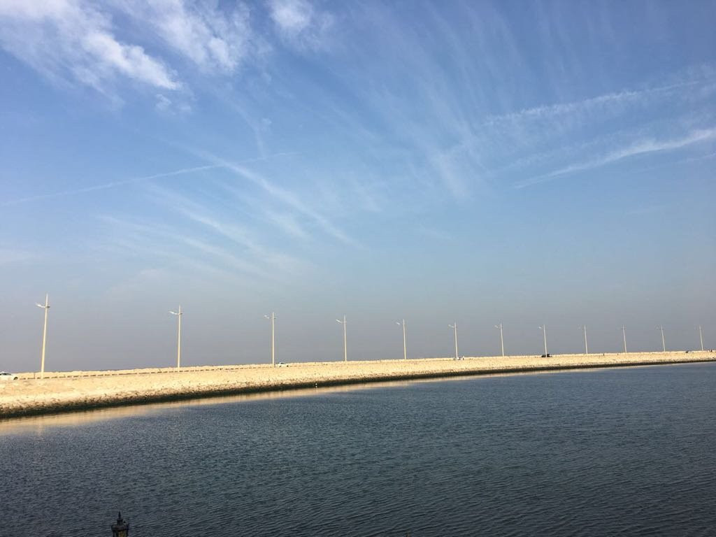 Dolphin Resort主图