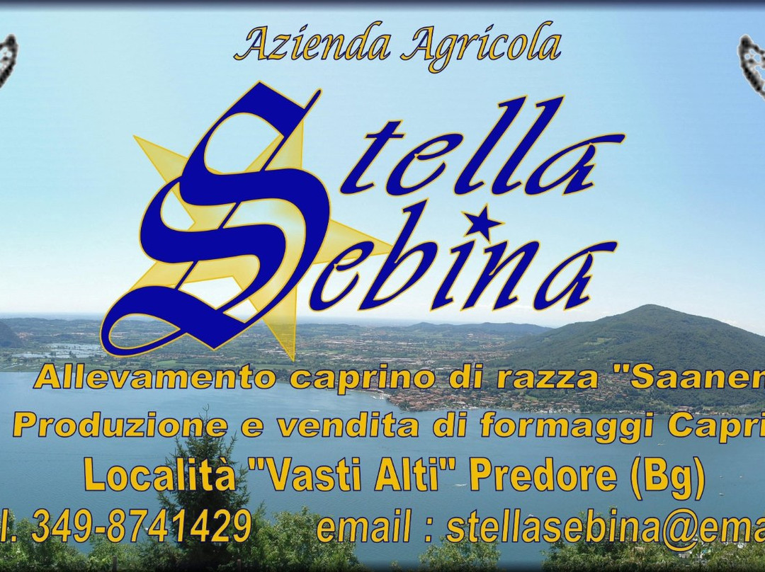 Azienda Agricola Stella Sebina景点图片