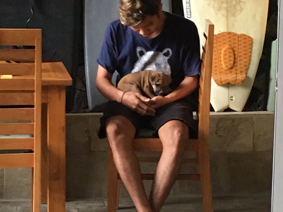 Lazy Inn Kuta Lombok主图