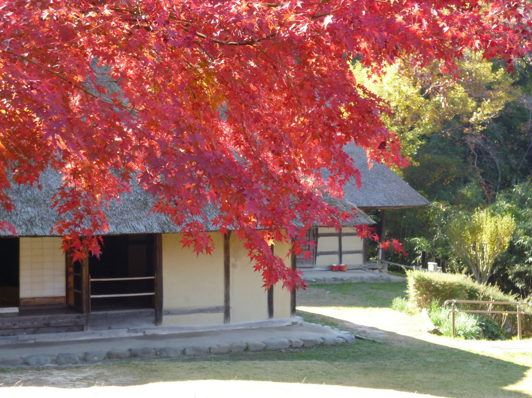Open-Air Museum of Old Japanese Farm Houses-丰中市必去景点