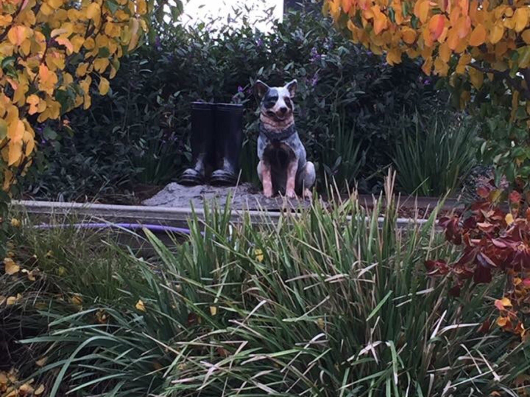 Lehmanns Farm Park-Epping必去景点