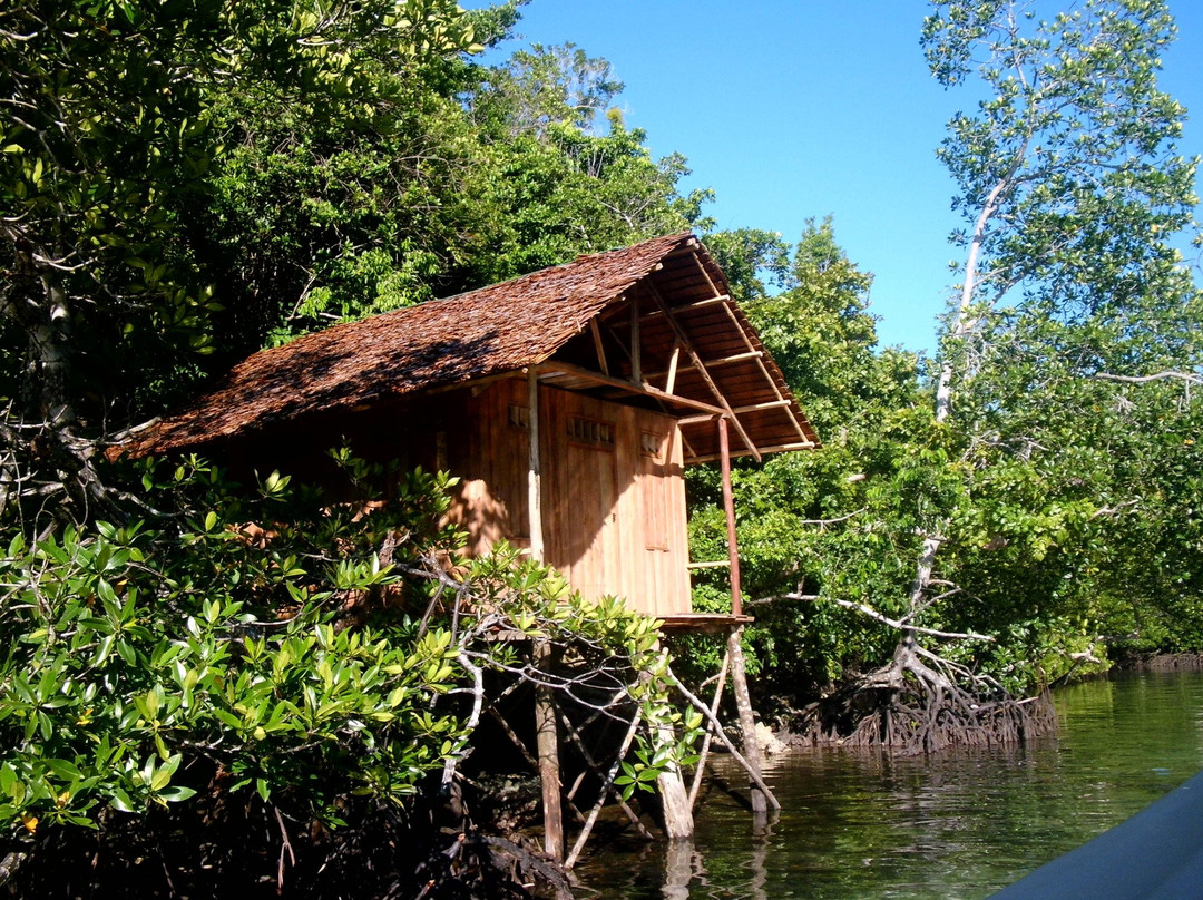 Togean Adventures景点图片