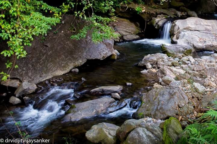 Meenvallam Water Falls景点图片