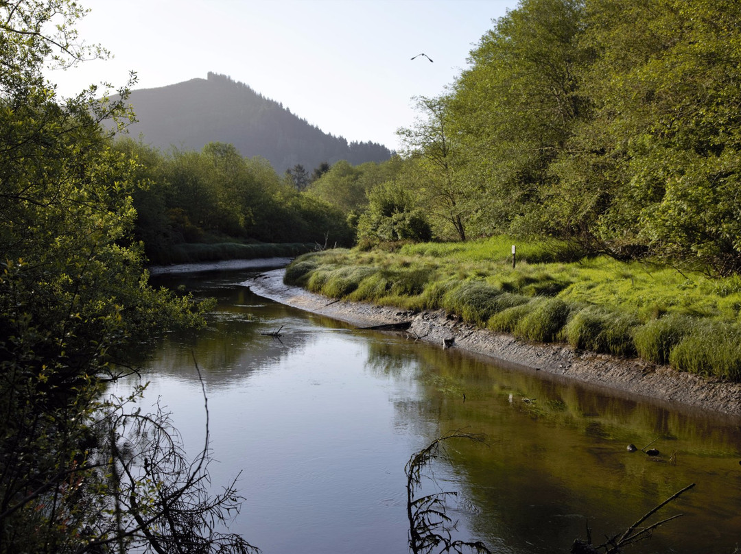 Siletz Bay National Wildlife Refuge-林肯城必去景点