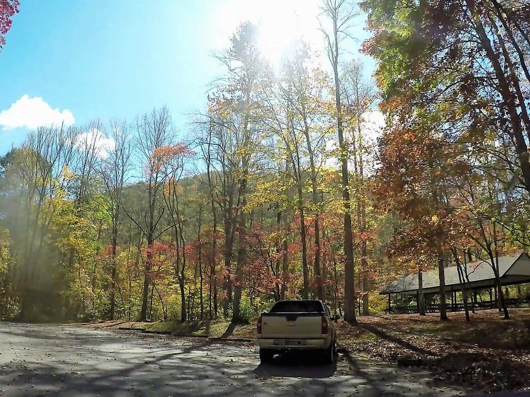 Collins Creek Picnic Area-大雾山国家公园必去景点