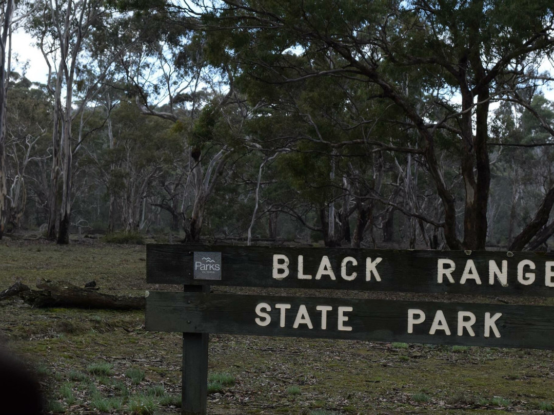 Black Range State Park-Balmoral必去景点
