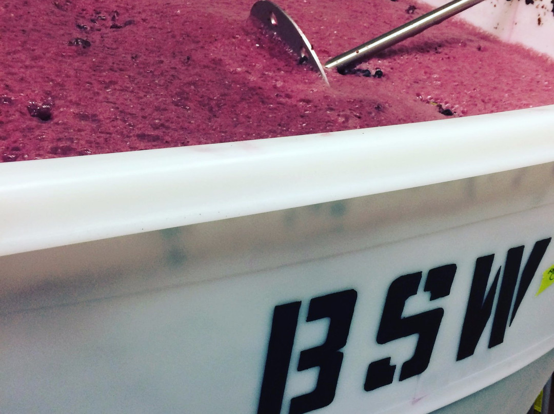 Bell Springs Winery & Brewery-Dripping Springs必去景点