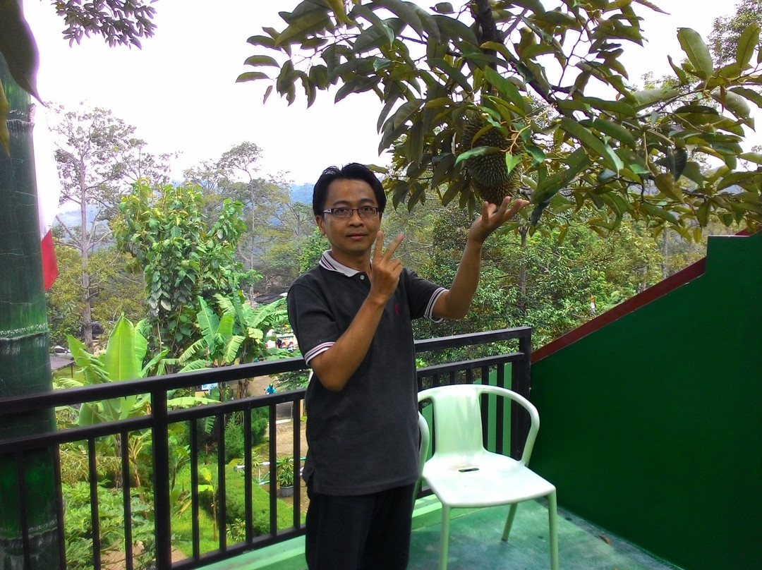 Fresh Green-Trawas必去景点