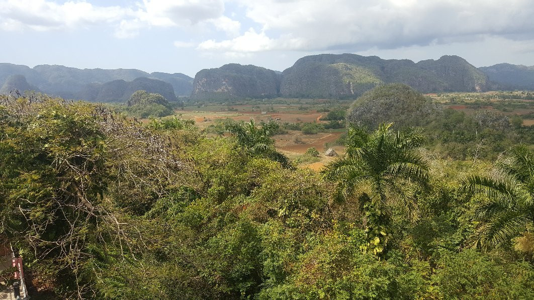 Guayabita del Pinar Liqueur Factory景点图片