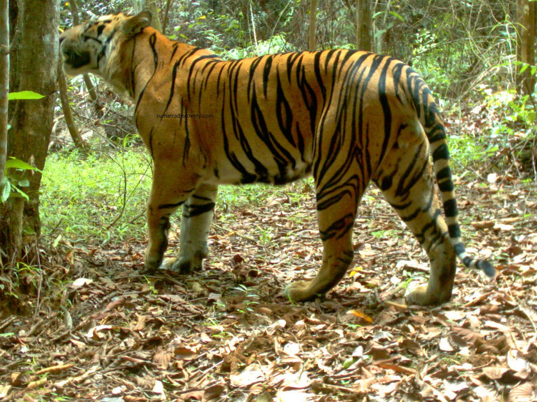 Flexible Travel-棉兰必去景点