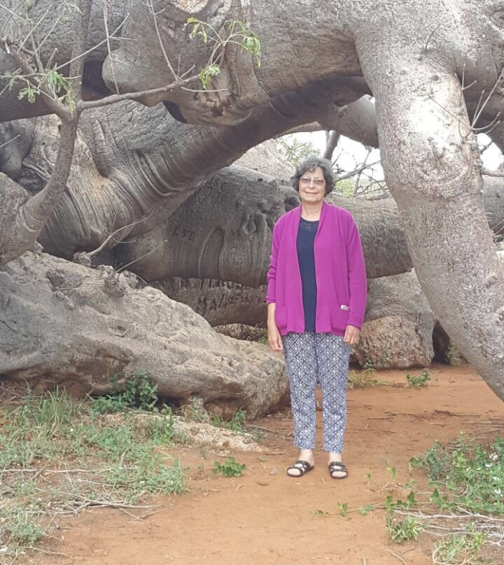 Sunland Baobab-Limpopo Province必去景点