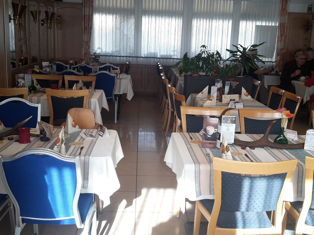Landgasthof Hotel "Gruener Baum"主图