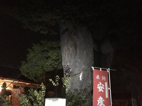 Japanese Zelkova Tree of Mitsugi Shrine