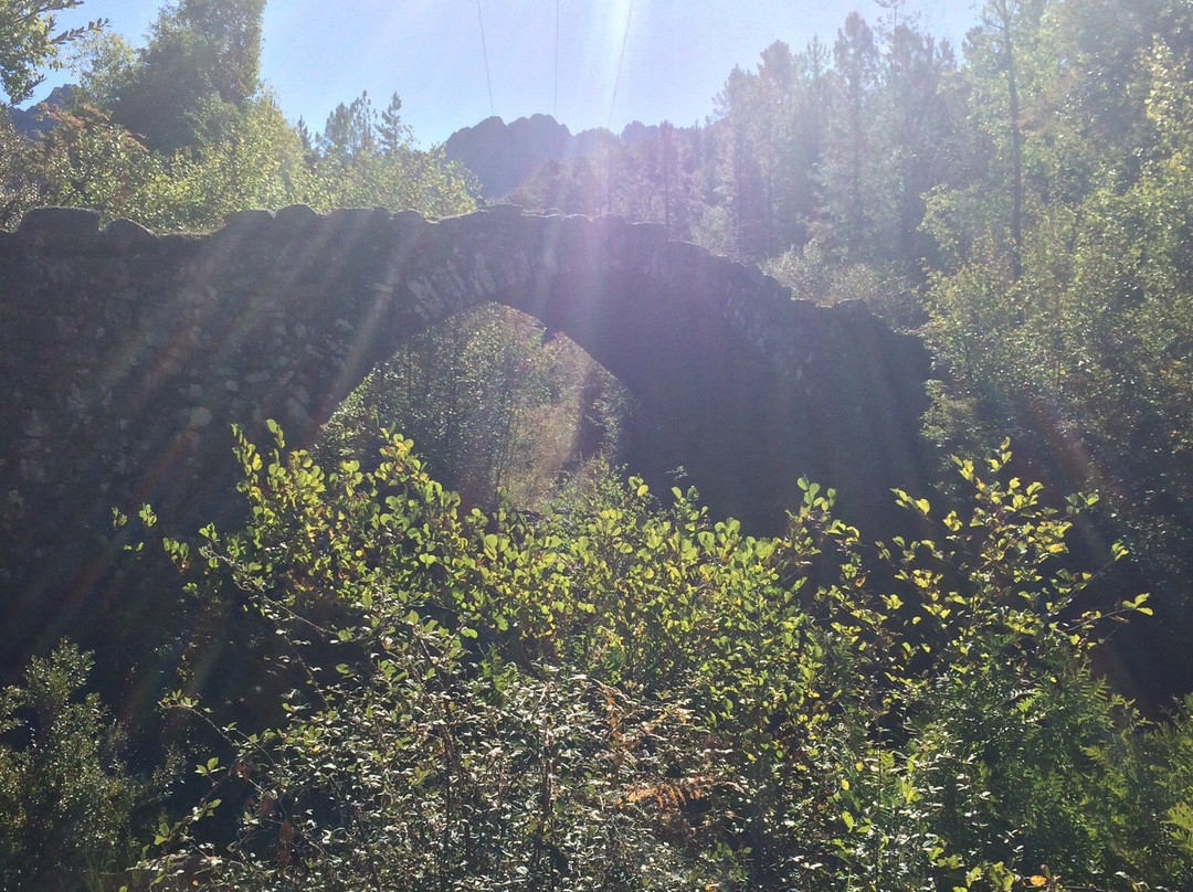Pont génois de Zipitoli-Bastelica必去景点