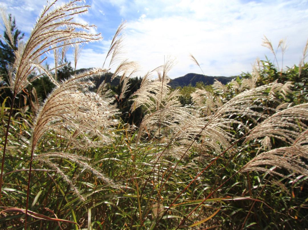 Washigatake-郡上市必去景点