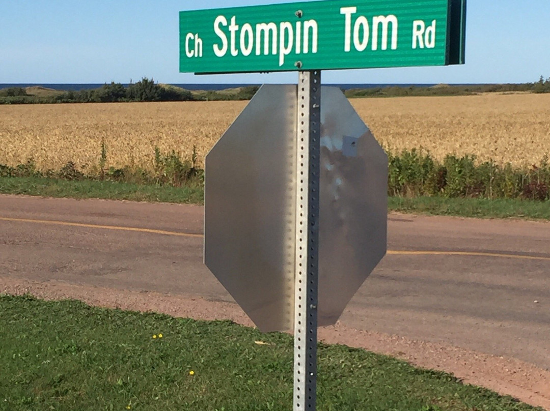 Stompin' Tom Centre-Skinners Pond必去景点