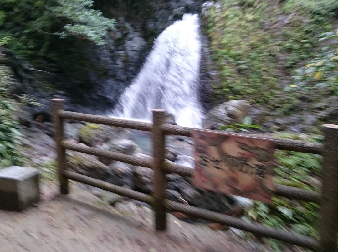 Oseri Falls景点图片