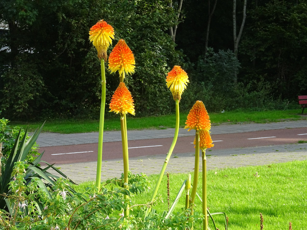 World Fashion Centre Amsterdam-阿姆斯特丹必去景点