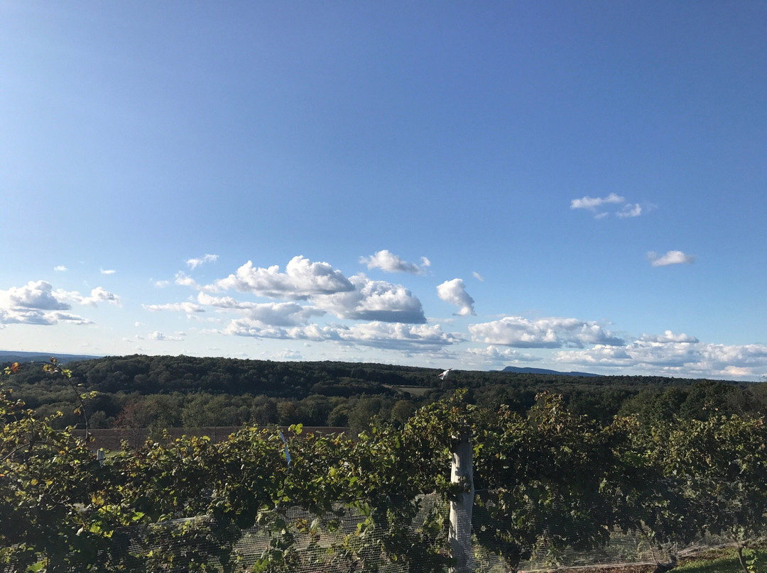 Gouveia Vineyards-沃灵福德必去景点