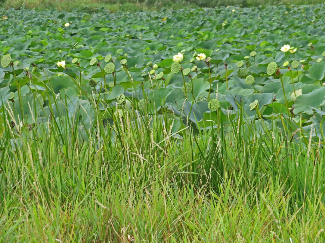 Warner Park-麦迪逊必去景点