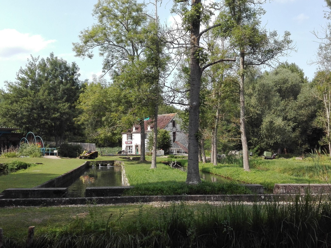 Pisciculture Et La Terrasse Du Tholon景点图片