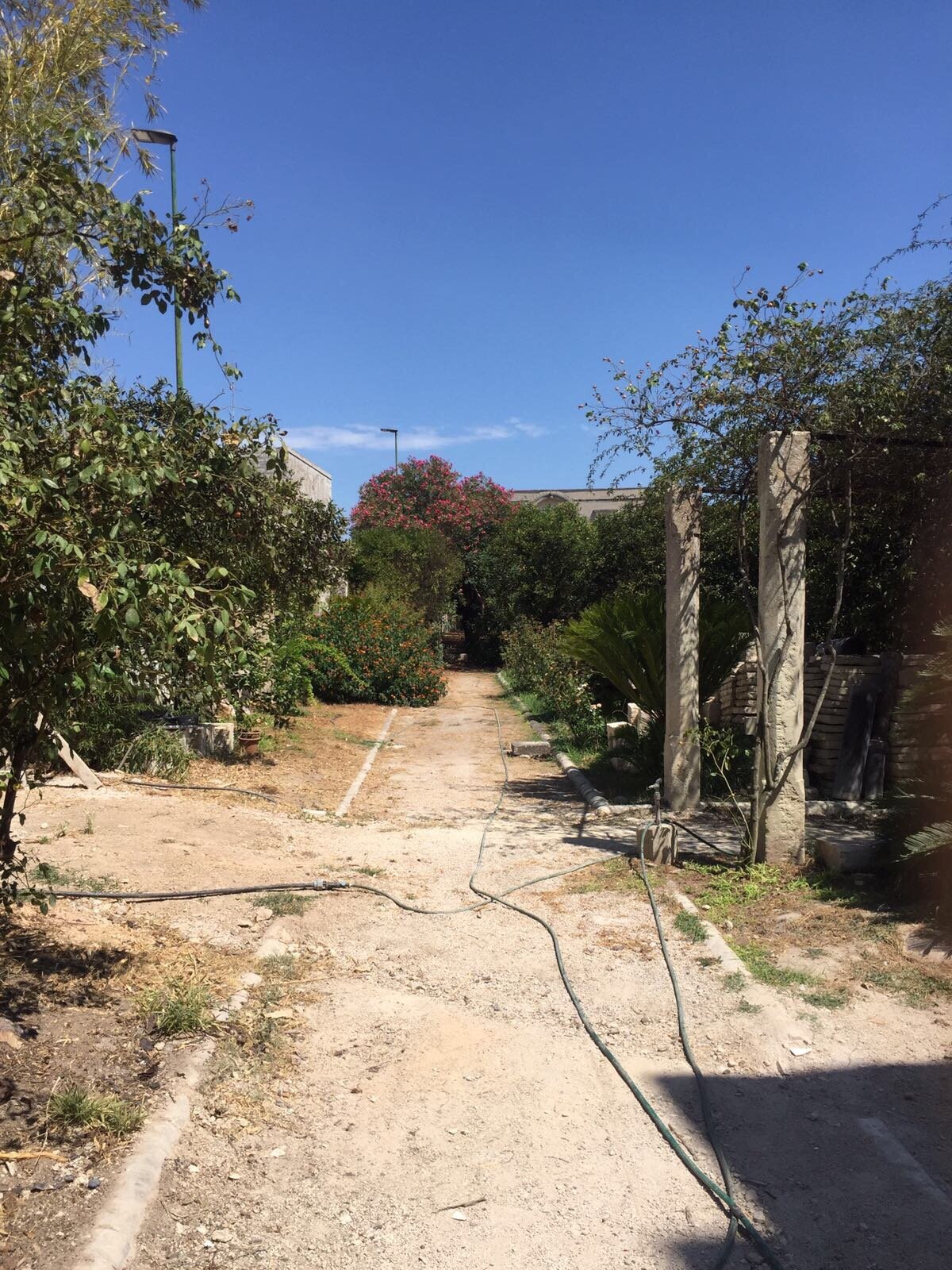 Antico Aranceto-官方