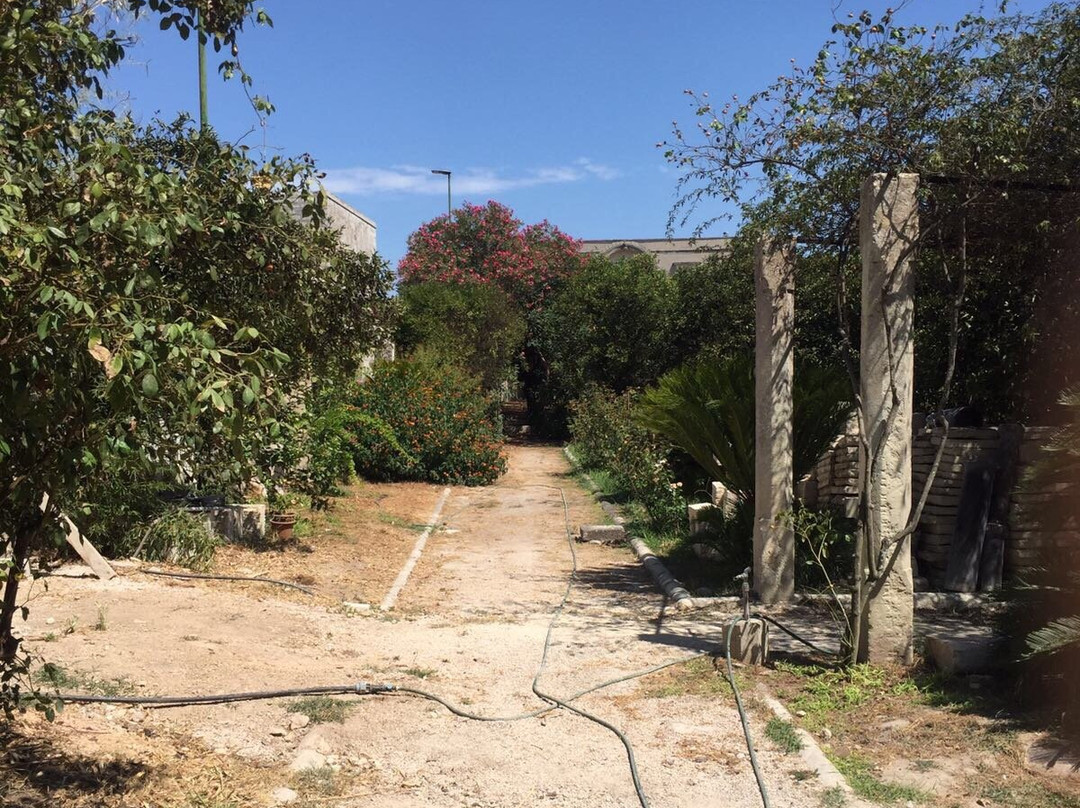 Bagnolo del Salento酒店住宿-Antico Aranceto