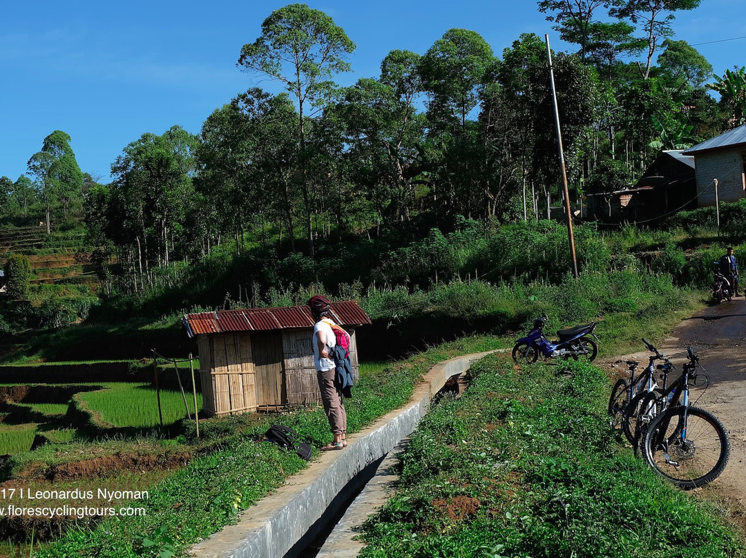 Flores Cycling Tours-Ruteng必去景点