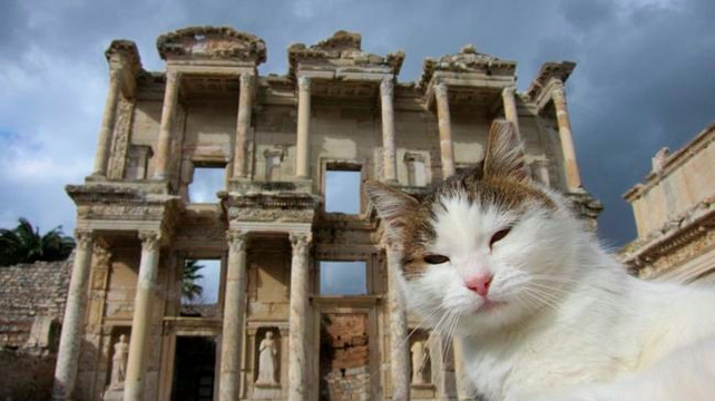 Ephesus Port Tours-库萨达斯必去景点