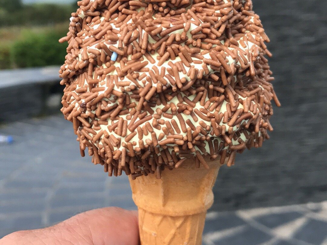 Holgates Ice Cream Shop & Cafe景点图片