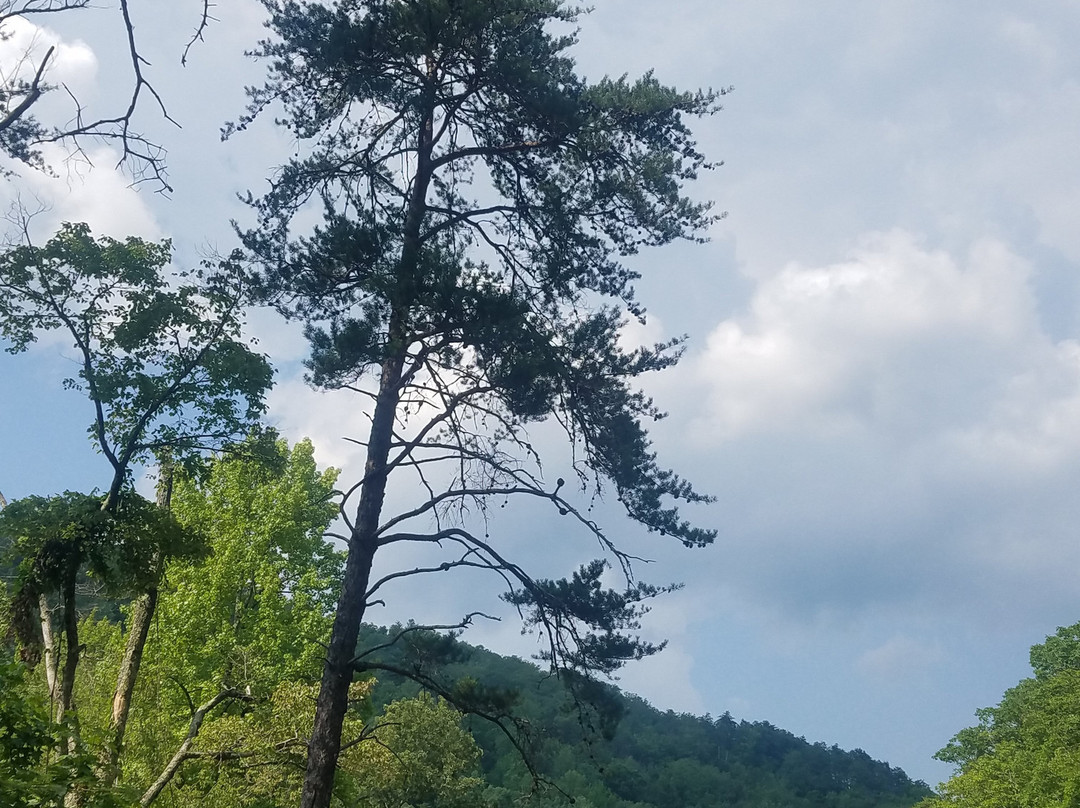 Big Soddy Creek Gulf-Soddy Daisy必去景点