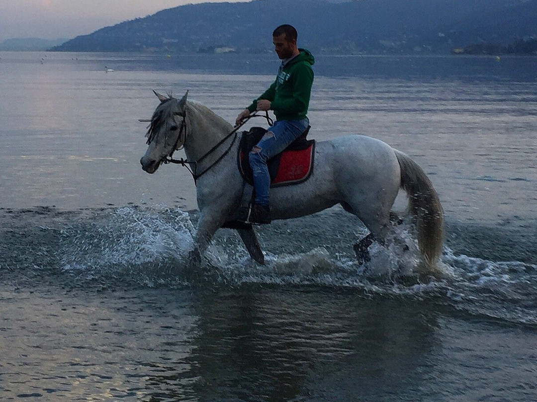 White Rose Ranch景点图片