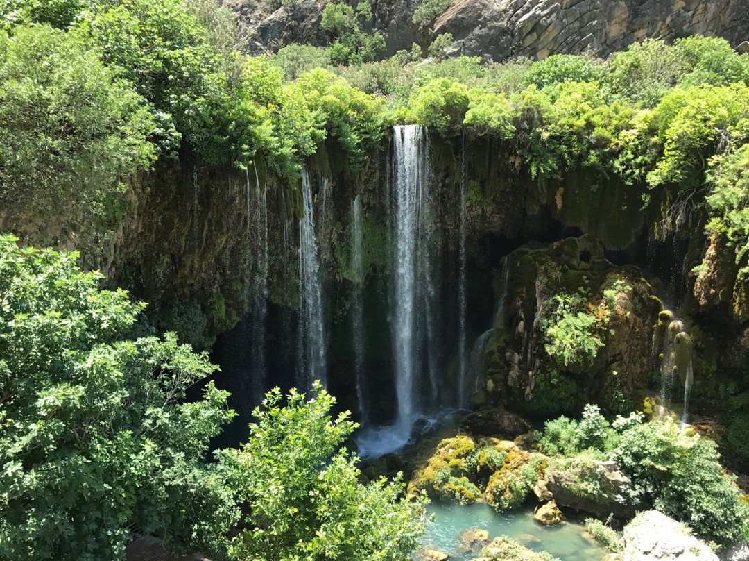 科尼亚旅游攻略图片