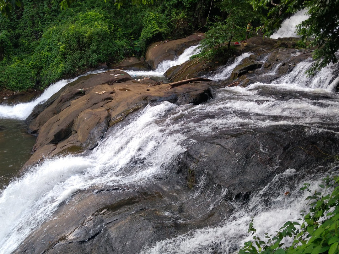 Aruvikkuzhi Waterfall景点图片