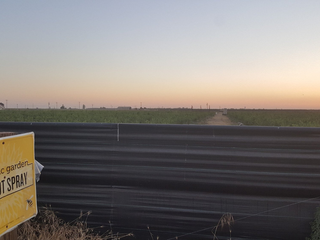 Tabitha Max Blueberry Farm-波特维尔必去景点