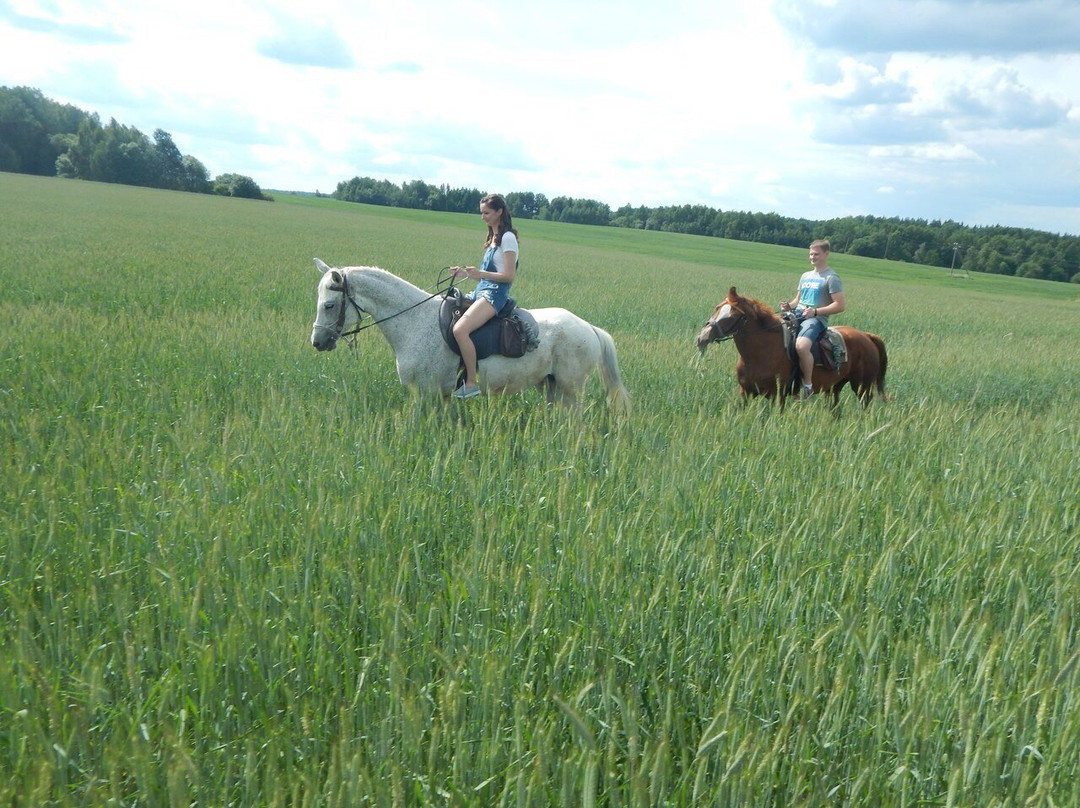 Horse Club Sportivnaya Loshad景点图片