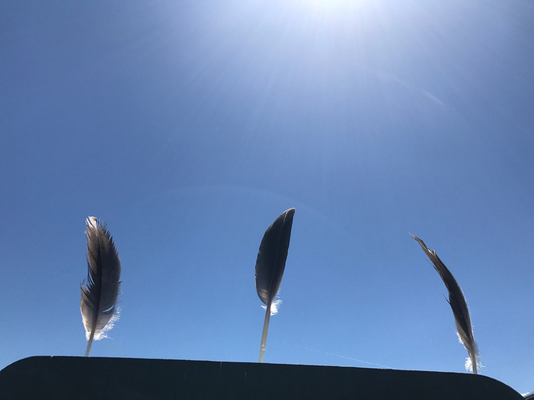 Canyon Lake Park景点图片