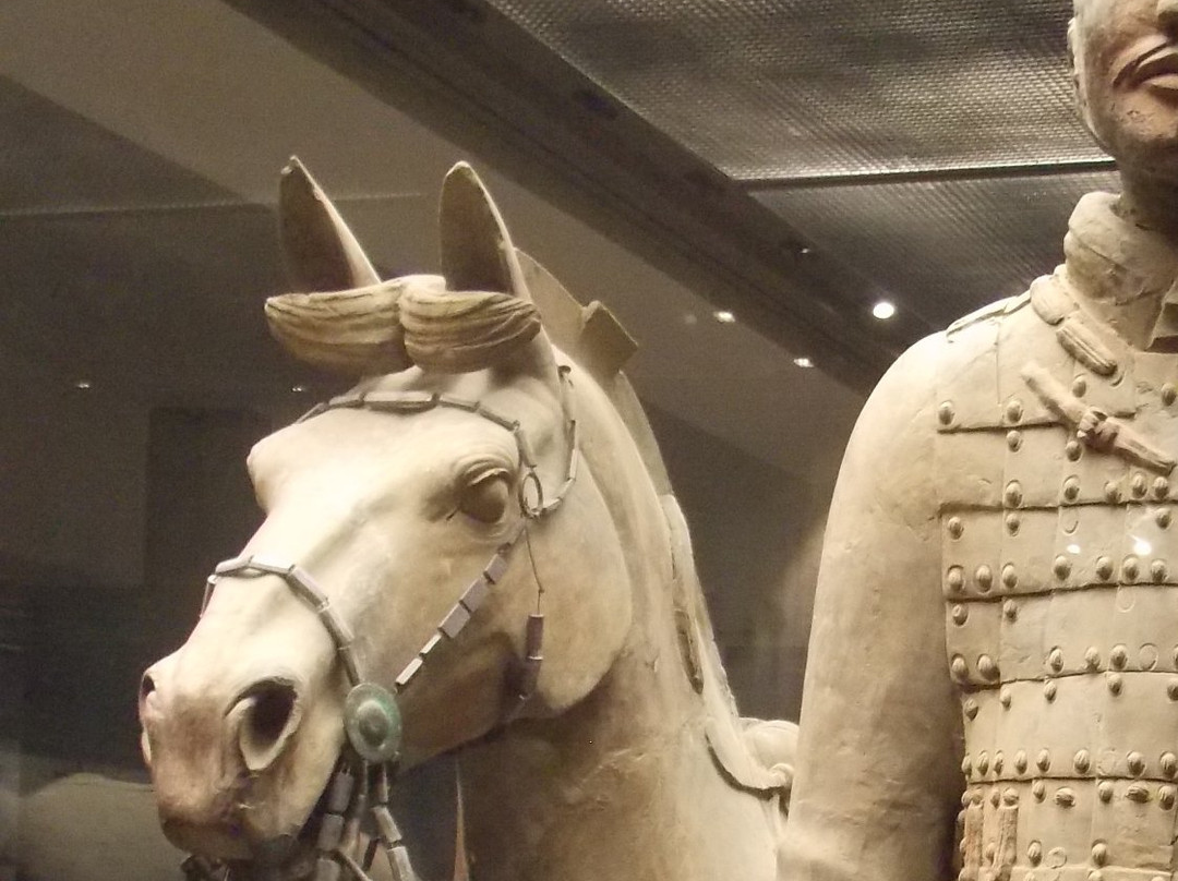 献县汉墓群-献县必去景点