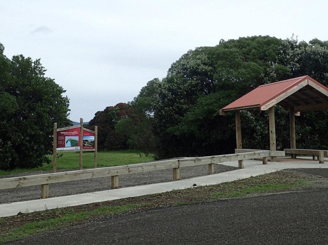 Onekawa Te Mawhai Regional Park景点图片
