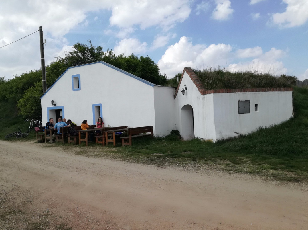Painted cellar (Malovany sklep)-Satov必去景点