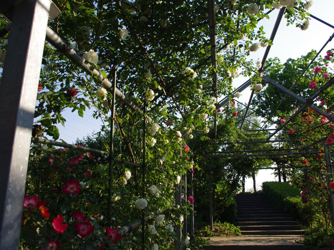 Heiseinomori Park-川岛町必去景点
