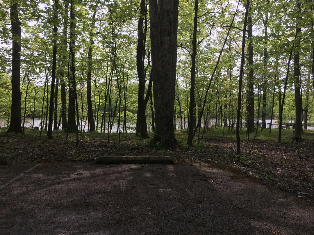 Walnut Point State Park-Oakland必去景点