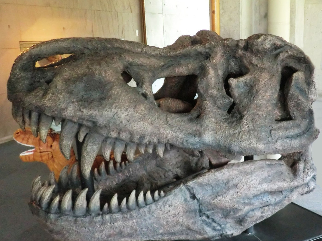 Shinshu Shinmachi Fossil Museum-长野县必去景点