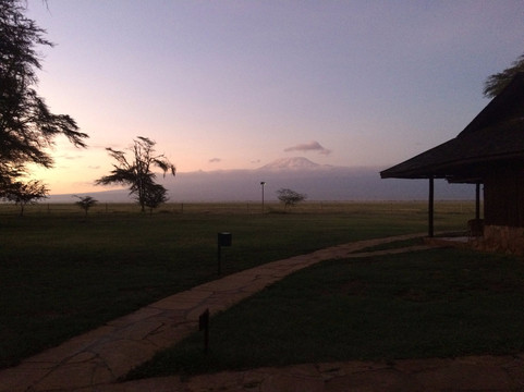 My Kenya Safari - Day Tours-蒙巴萨必去景点