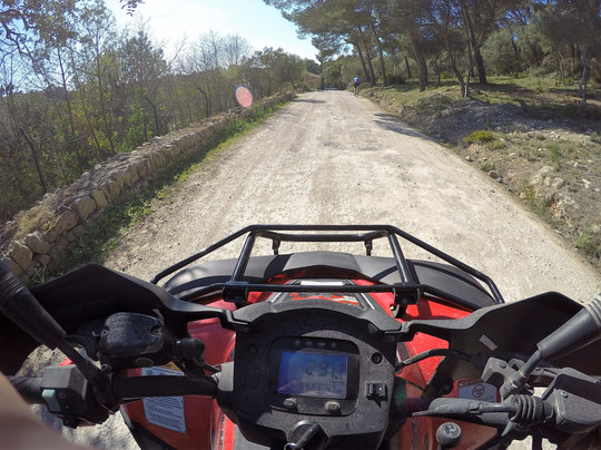 Enjoy Rent Mallorca-阿尔库迪亚港必去景点