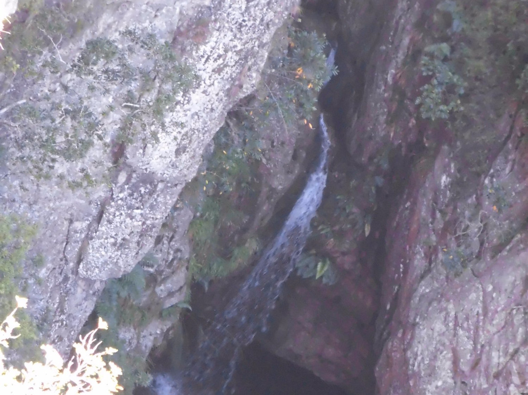 Hottentots Holland Nature Reserve-Grabouw必去景点