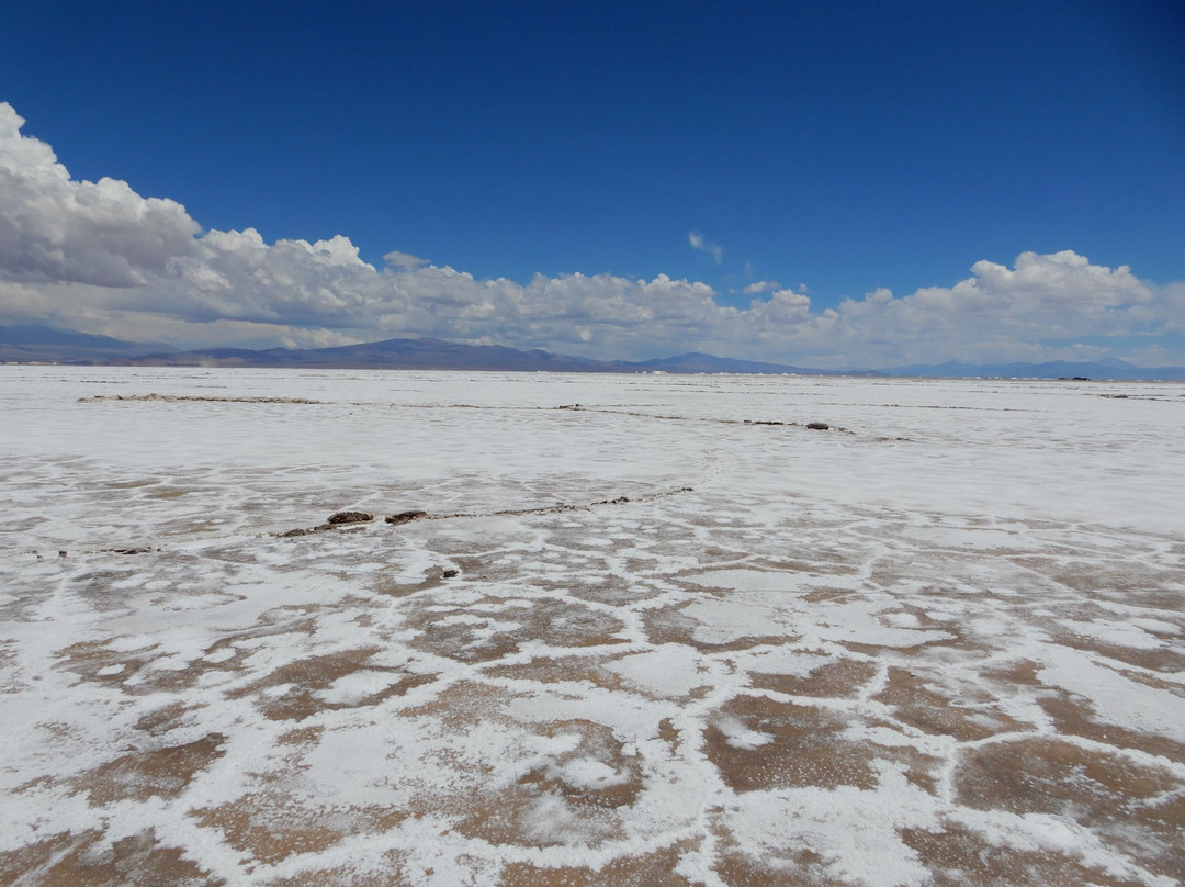 Salinas Grandes景点图片